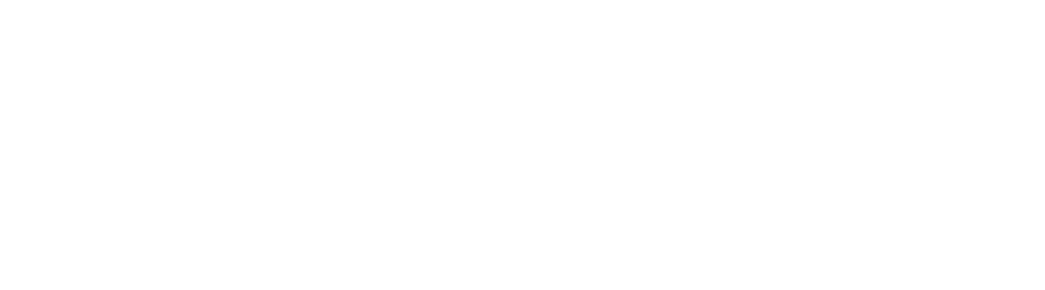 Steeger USA